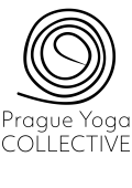 PYC_Logo_Full_Large_High_Res (2)